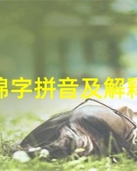 锦的拼音和组词(锦的拼音和组词语怎么写)