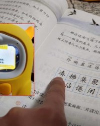 牛怎么读拼音组词