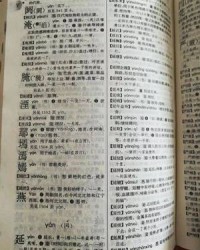 津怎么组词(津怎么组词语)