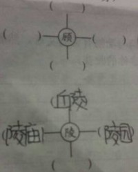 荆棘要怎么组词