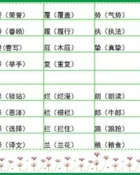 履行的履组词(履行的履组词怎么组)