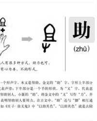 助的部首组词(助的部首组词和结构)