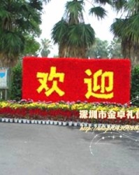 填多音字组词(填多音字怎么组词)