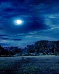 二怎么组词一年级(二怎么组词语一年级)