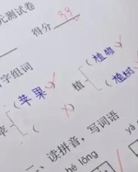 壮怎么组词(壮怎么组词组)