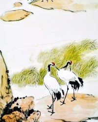描写白鹤的鹤怎么组词