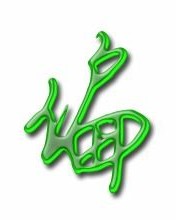 偏字的偏怎么组词