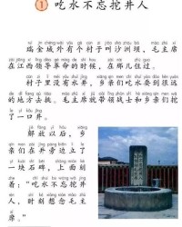 茅草屋的毛怎么组词