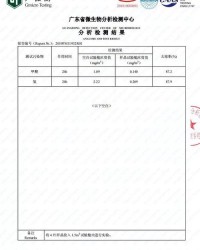 砖家的砖可以怎么组词