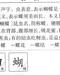 蝴蝶的蝶怎么组词(蝴蝶的蝶怎么组词四年级)