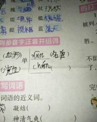 罚的拼音和组词(罚的拼音和组词和部首)