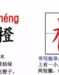 橙子的橙怎么组词(2000000000亿字组词)