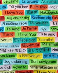 我弟弟的弟怎么组词