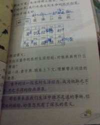 绳子占格怎么组词