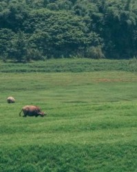 平坝坝怎么组词