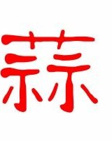 大象的蒜怎么组词