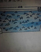 泳池的池组词怎么写