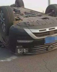 传字怎么组词(传字怎么组词怎么造句)