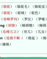 驼的组词和拼音(驼的组词和拼音和部首结构是什么意思)