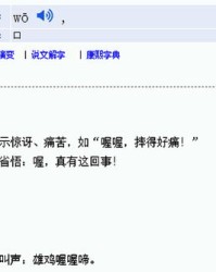 率怎么读拼音和组词