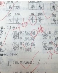 桂怎么组词语(桂怎么组词语有哪些)