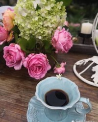 荒野的花还可以怎么组词