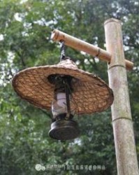 饿字组词(饿字组词怎么组)