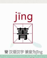 菁怎么组词(箐字组词的有哪些)