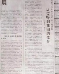 荒野的花可以怎么组词