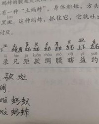 这个字怎么组词(这个字怎么组词震)