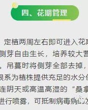 蒸桑拿的蒸怎么组词