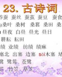 桑叶的桑组词(桑叶的桑组词和部首)