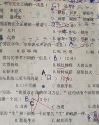 历怎么组词语(历怎么组词语三年级)