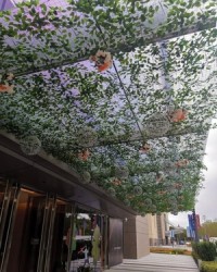 谋的组词是什么(谋的组词是什么和拼音怎么写)