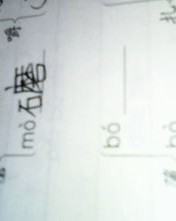 欧洲舟怎么组词