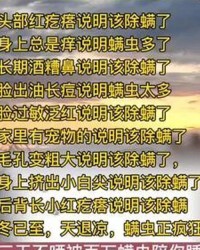 身上用头组词怎么说