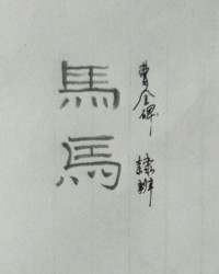 马字怎么写怎么组词