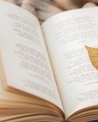 垒怎么组词(垒读音和组词)