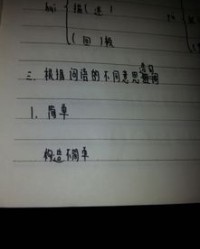 异同的意义怎么组词造句