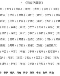 中字的组词(中字的组词怎么组)