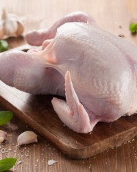 鸡肉肉怎么组词