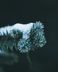 立怎么组词语(立怎么组词语造句)