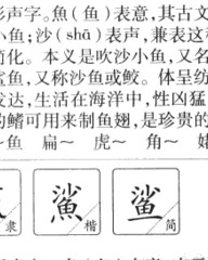 鲨的组词(鲨的组词怎么写)