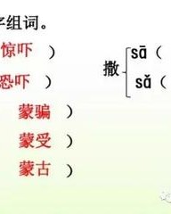 撒怎么组词多音字(撒组词多音字 拼音)