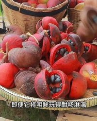 苹果的苹可以怎么组词