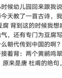 杜甫的甫怎么组词豆腐