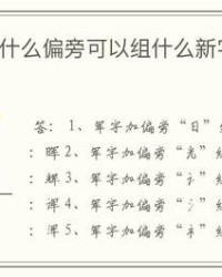 答的组词怎么写(答组词怎么组)