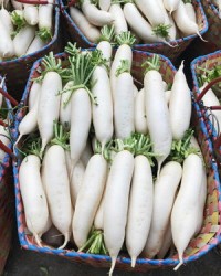 萝卜的卜怎么组词(萝卜的卜怎么组词两个字的词语)