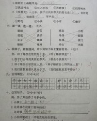 原组词怎么组(原组词怎么组词)