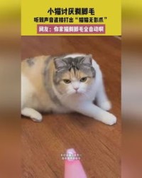 小猫的声音怎么组词啊
